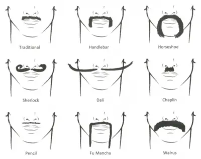 Images moustache styles 16 Best