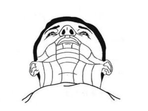 face/neck segments