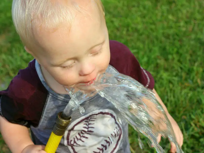 drinking water from garden hose