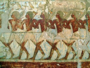 1280px-Relief_of_Hatshepsut's_expedition_to_the_Land_of_Punt_by_Sta_____