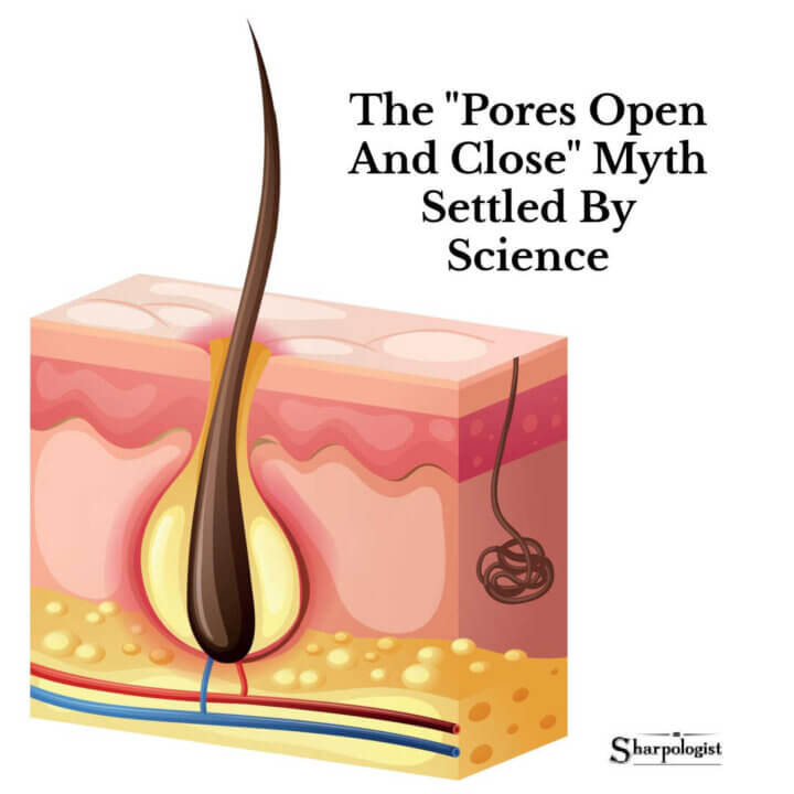 do pores open and close?