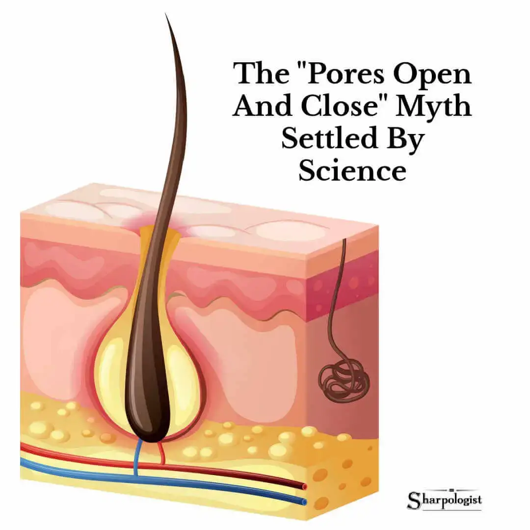 do pores open and close?