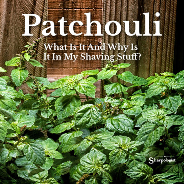 What Is Patchoulli Why Is It In My Shaving Stuff Sharpologist