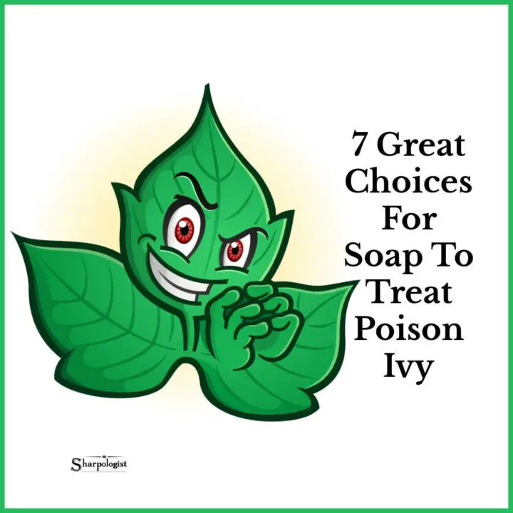 Best Soap For Poison Ivy This Summer [7 Great Choices]