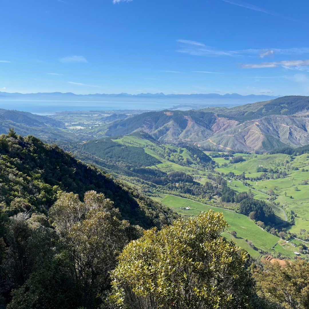 new zealand