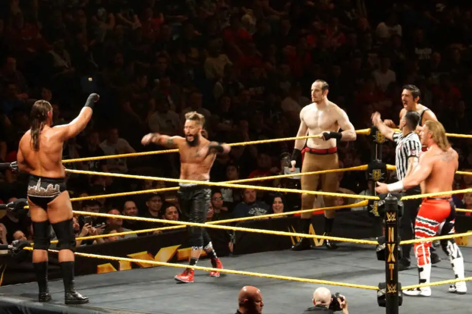 professional wrestlers