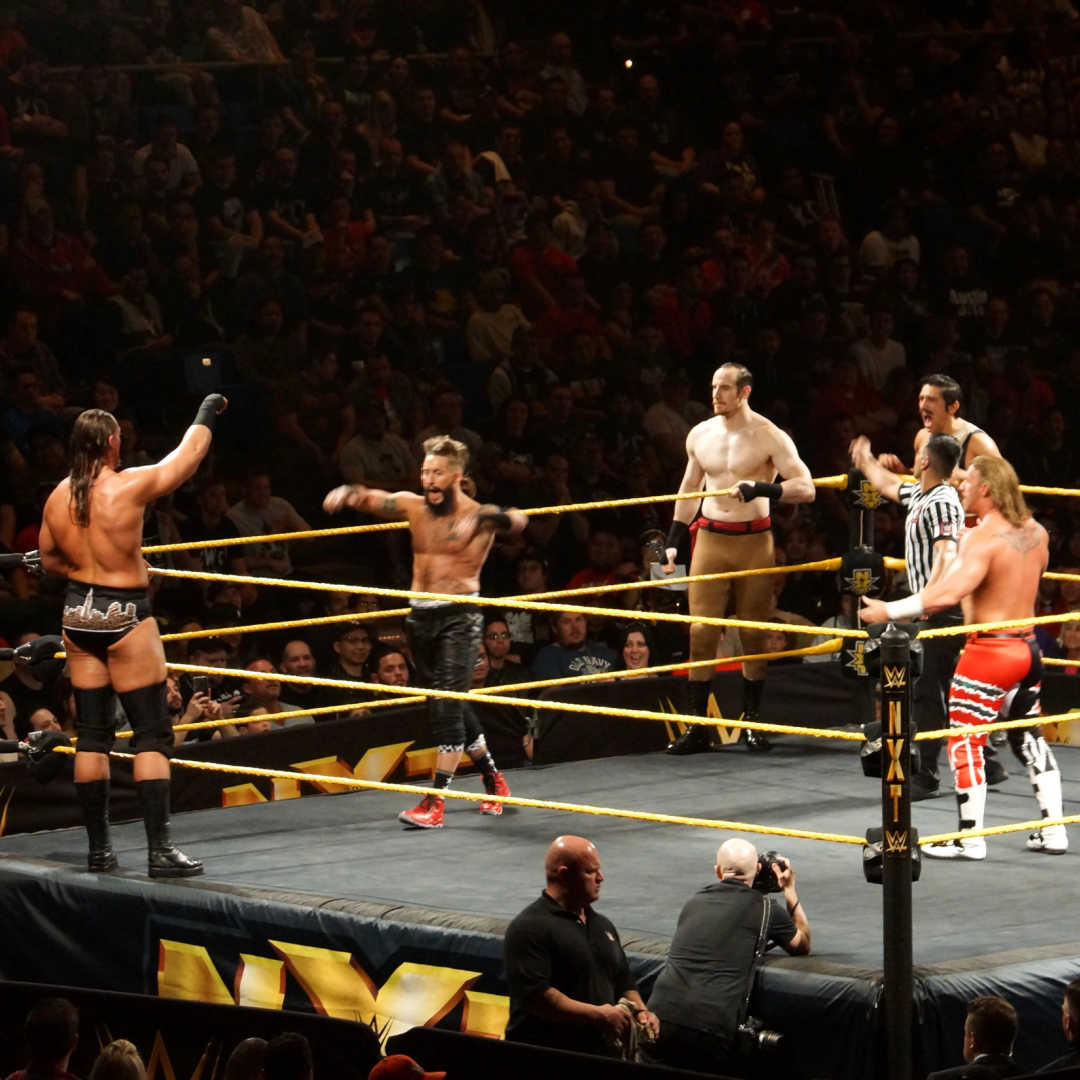 professional wrestlers